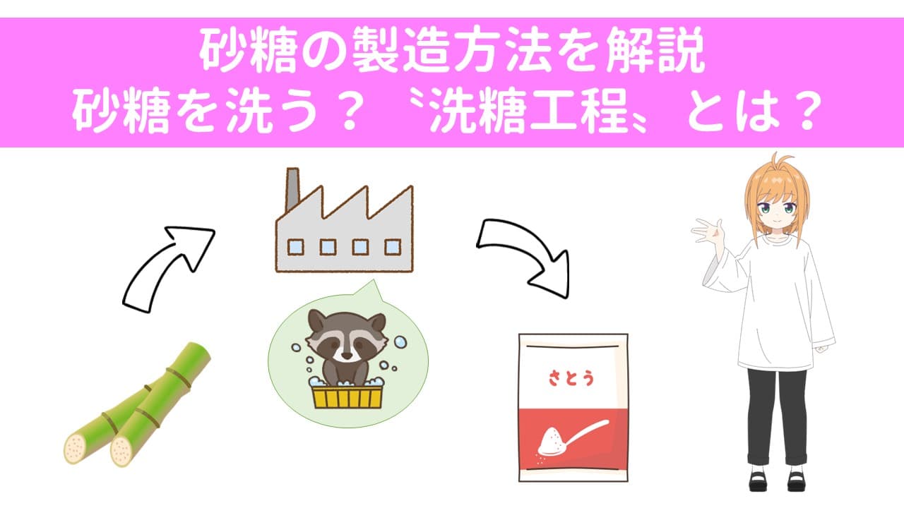 砂糖の製造方法を解説。砂糖を洗う？〝洗糖工程〟とは？