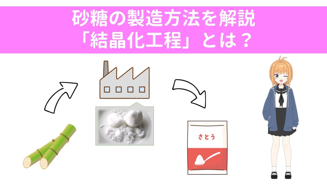 砂糖の製造方法を解説「結晶化工程」とは？