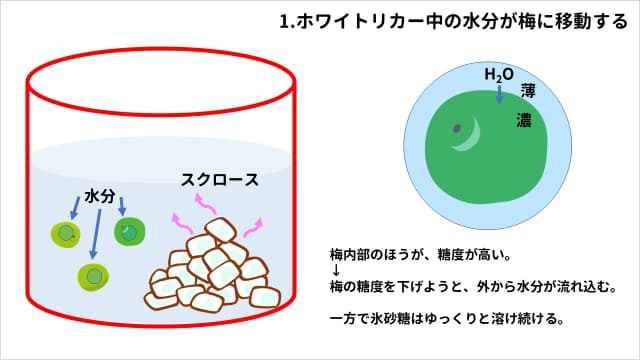 梅酒に氷砂糖を使う理由。1.ホワイトリカー中の水分が梅に移動する。梅内部のほうが、糖度が高い。→梅の糖度を下げようと、外から水分が流れ込む。一方で氷砂糖はゆっくりと溶け続ける。