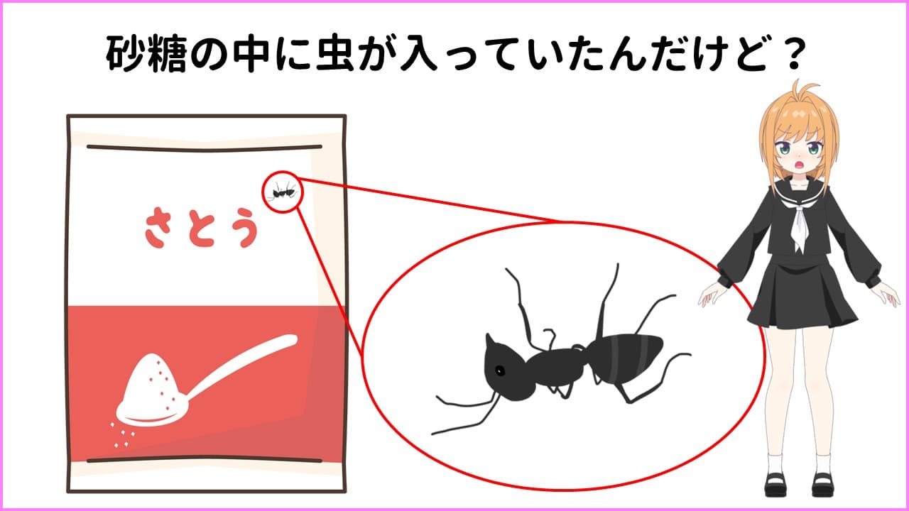 砂糖の中に虫がはいっていたんだけど？