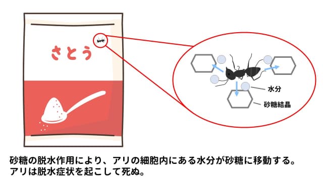 砂糖の脱水作用により、アリの細胞内にある水分が砂糖に移動する。アリは脱水症状を起こして死ぬ。