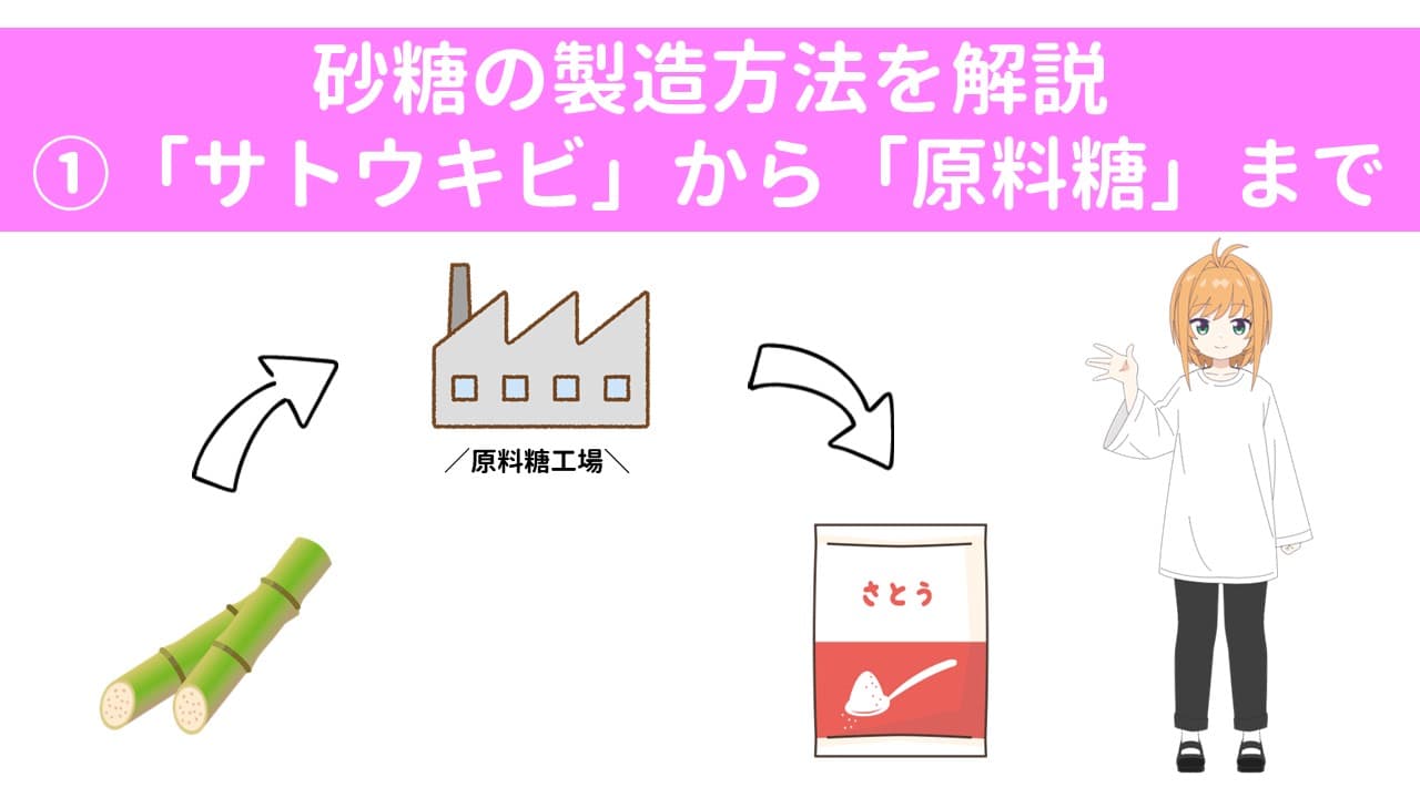 砂糖の製造方法を解説①「サトウキビ」から「原料糖」まで